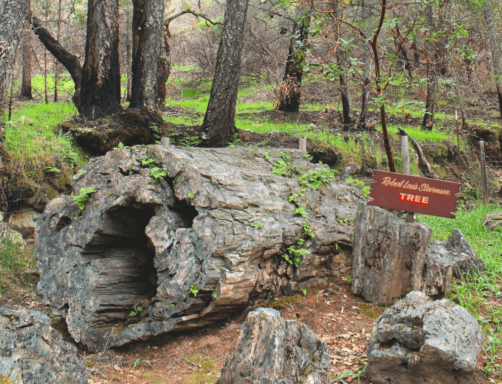 NVN_Family_Calistoga_Petrified
